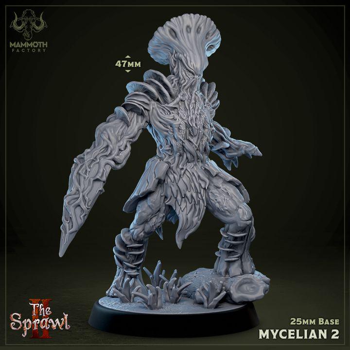 Mycelian Warband Set of 5 | Mushroom Resin Miniatures | Fungal Monsters | DnD Fantasy RPG Miniatures