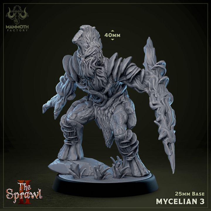Mycelian Warband Set of 5 | Mushroom Resin Miniatures | Fungal Monsters | DnD Fantasy RPG Miniatures
