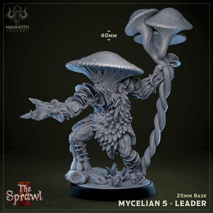 Mycelian Warband Set of 5 | Mushroom Resin Miniatures | Fungal Monsters | DnD Fantasy RPG Miniatures
